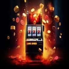 555win23